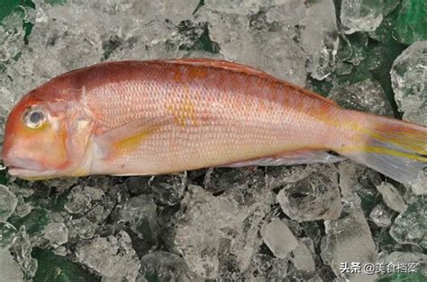 黑色的魚|我們常吃的33種海魚名稱和圖片大全，你認識多少種、。